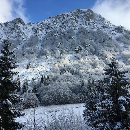 Val di Luce - Delizioso appartamento 6 posti letto - Accesso diretto alle piste da sci Abetone Esterno foto