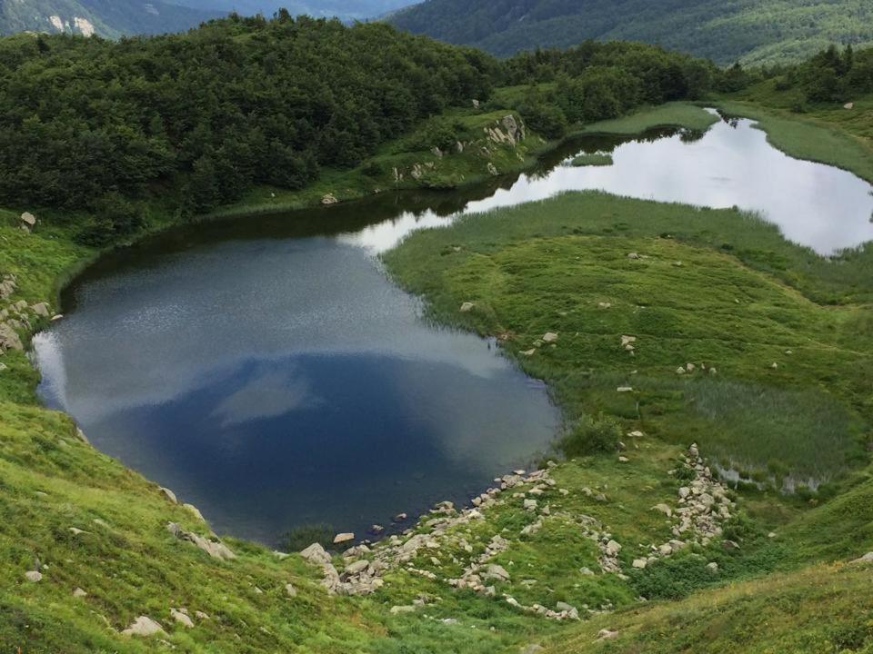 Val di Luce - Delizioso appartamento 6 posti letto - Accesso diretto alle piste da sci Abetone Esterno foto