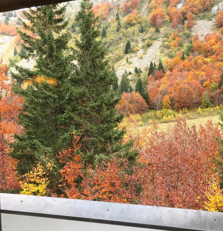 Val di Luce - Delizioso appartamento 6 posti letto - Accesso diretto alle piste da sci Abetone Esterno foto