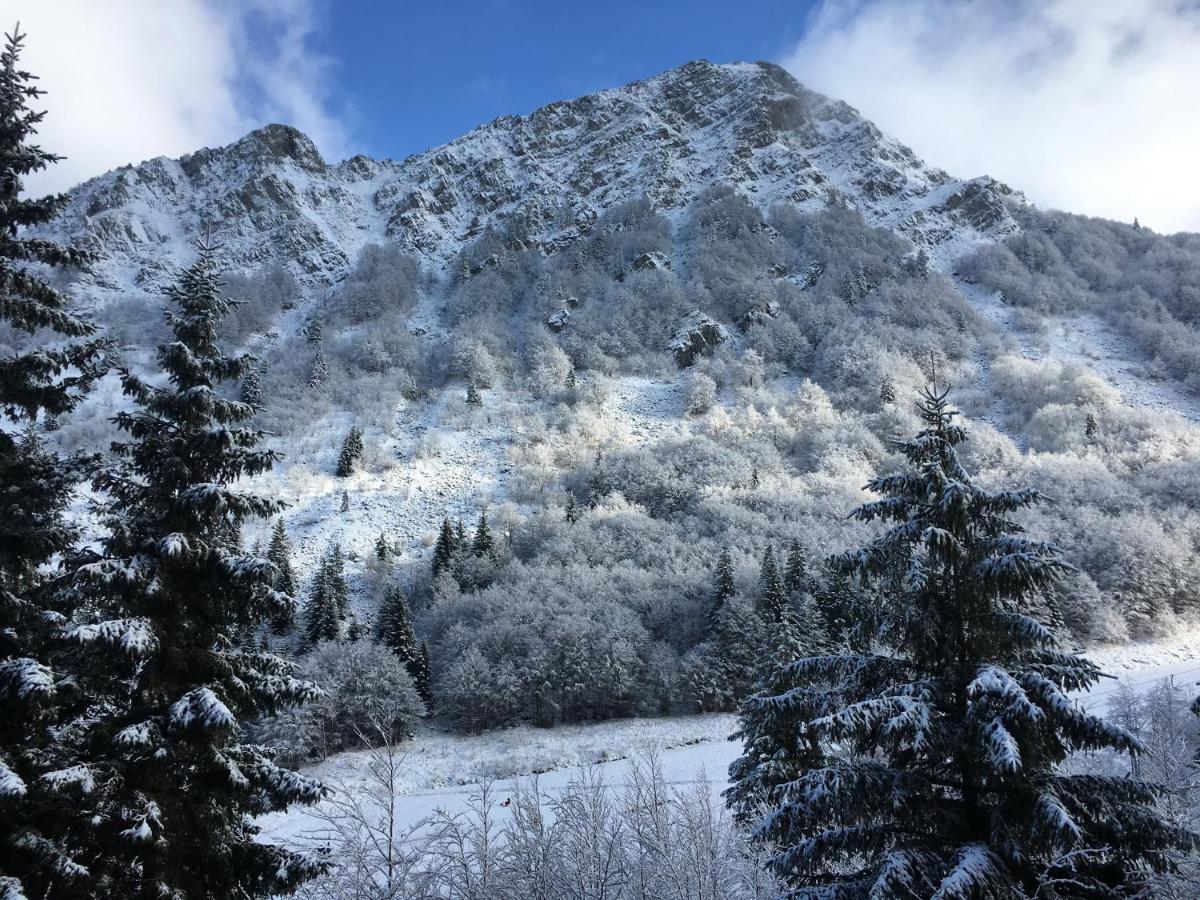 Val di Luce - Delizioso appartamento 6 posti letto - Accesso diretto alle piste da sci Abetone Esterno foto